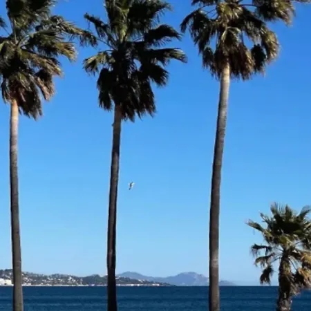 La Vie Est Belle Apartamento *