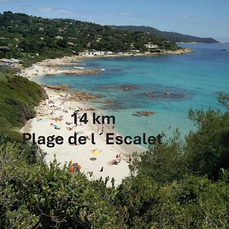 La Vie Est Belle