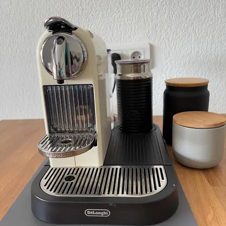 La Vie Est Belle * 盖辛