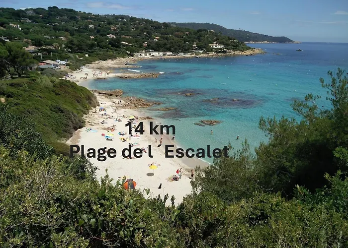 La Vie Est Belle